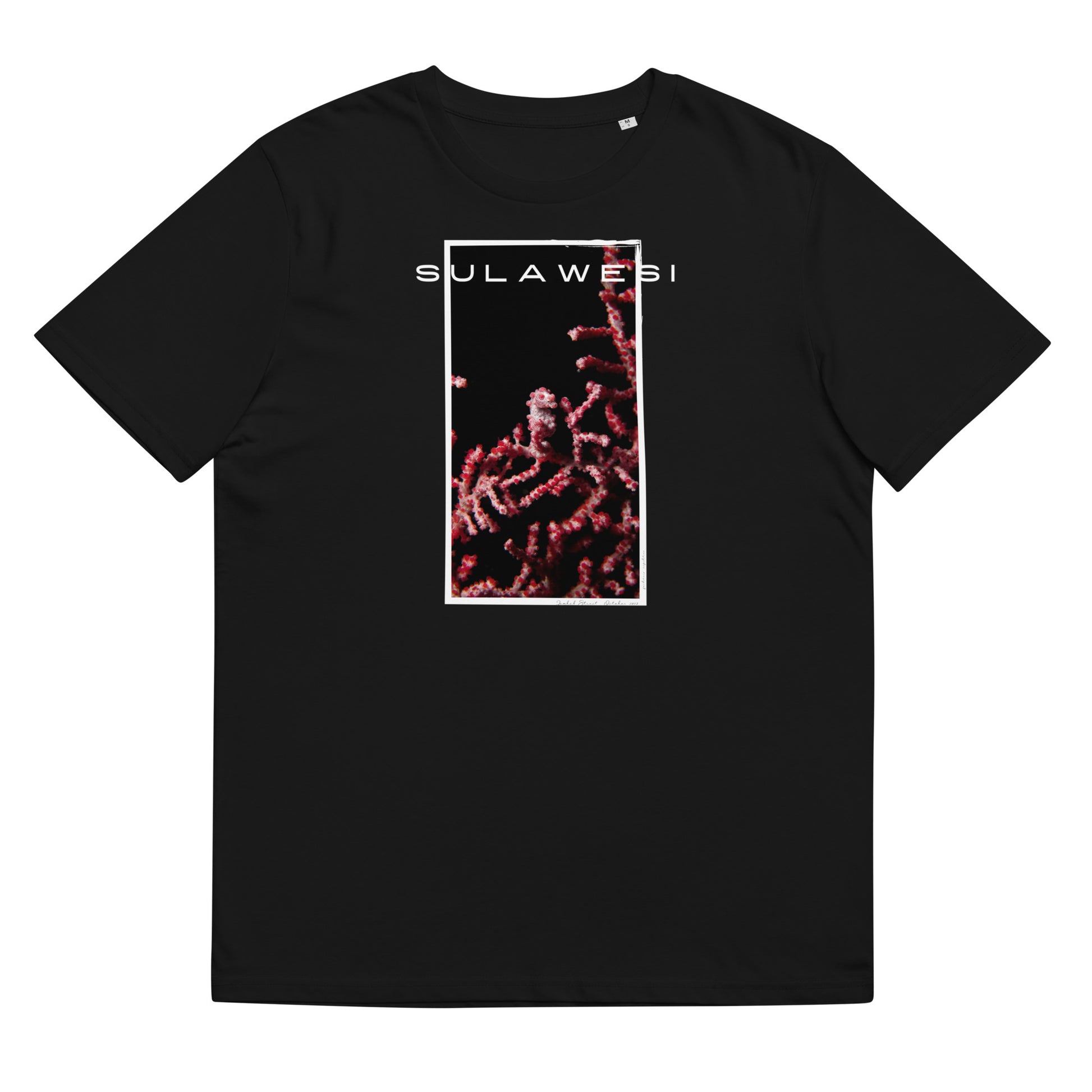 pygmy seahorse t-shirt sulawesi