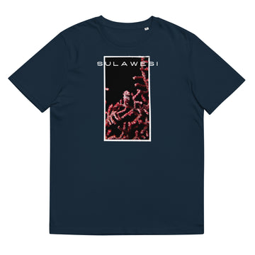 camiseta caballito de mar pigmeo
