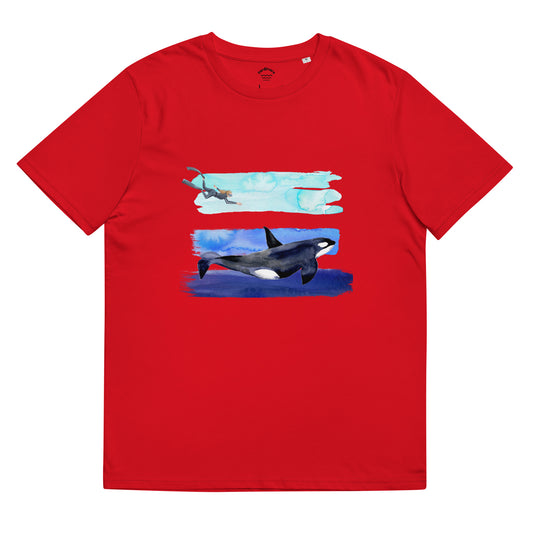 buceo con orcas