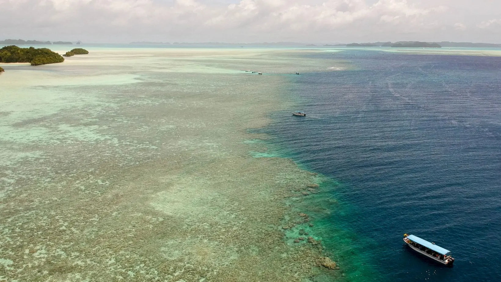 8 motivos para plantearte un viaje de buceo a Palau