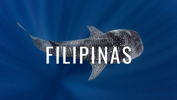 Buceo en Filipinas, el destino inabarcable