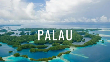 Buceo en Palau, la república independiente del submarinismo para los más exigentes
