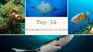 Los 10 mejores destinos de buceo para explorar este verano