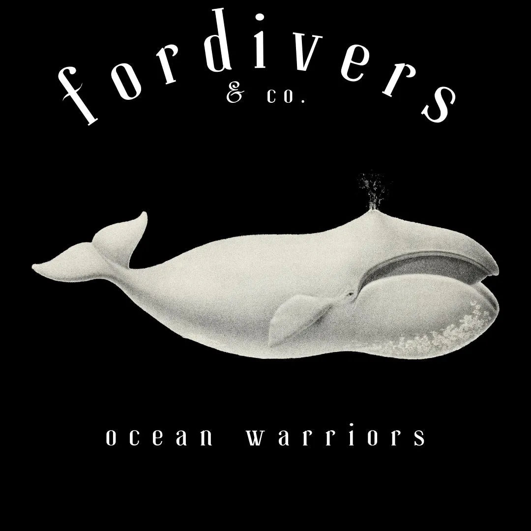 Camiseta fordivers ballena boreal ocean warriors