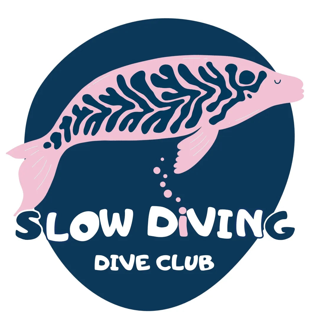 camiseta slow diving buceo