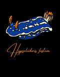 Camiseta Premium Nudibranquio Hypselodoris Festiva