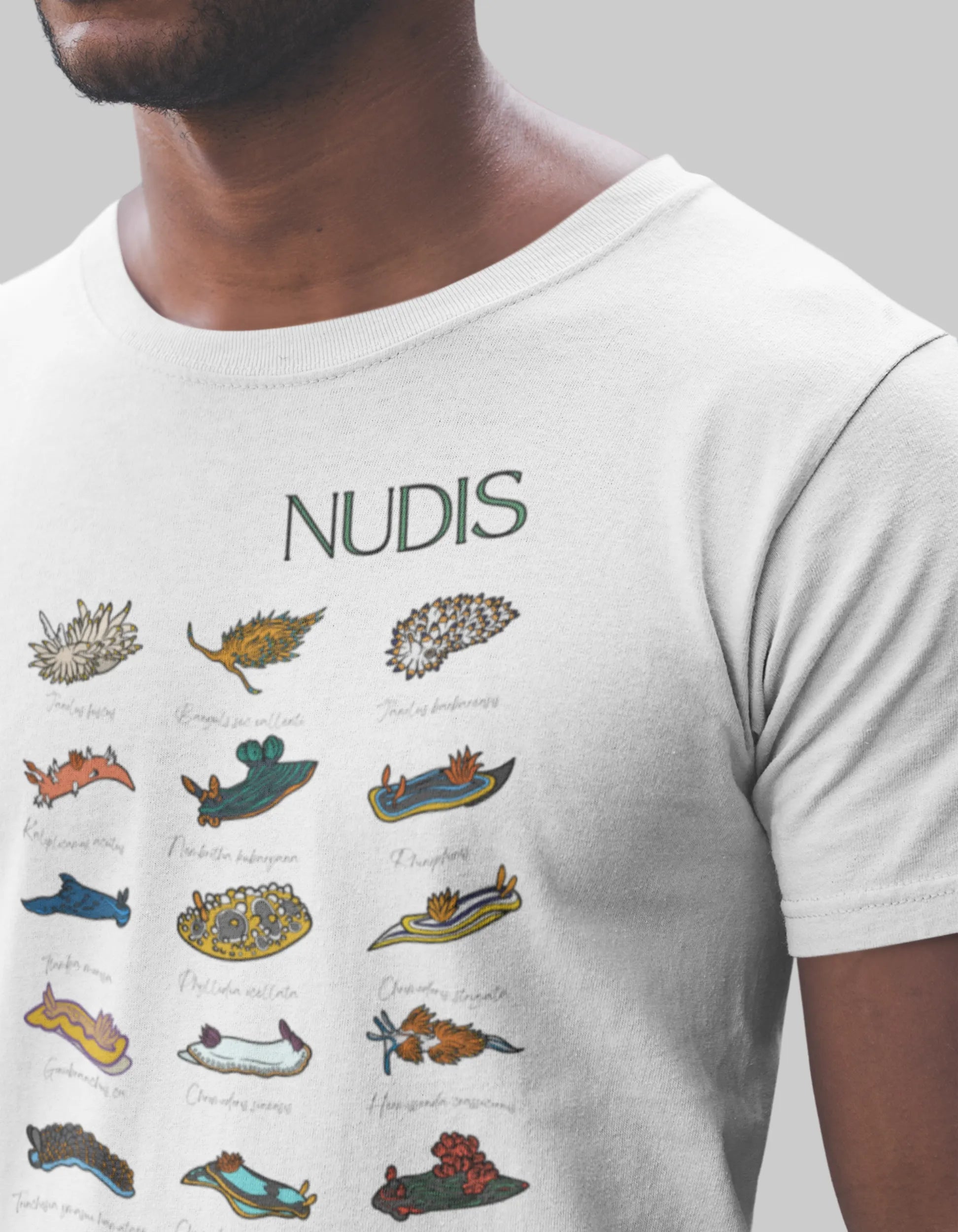 camiseta nudibranquios
