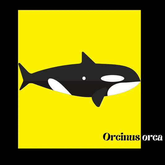 Sudadera orgánica orca