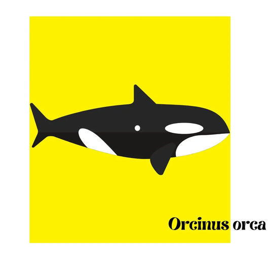 Orcinus Orca Camiseta Premium