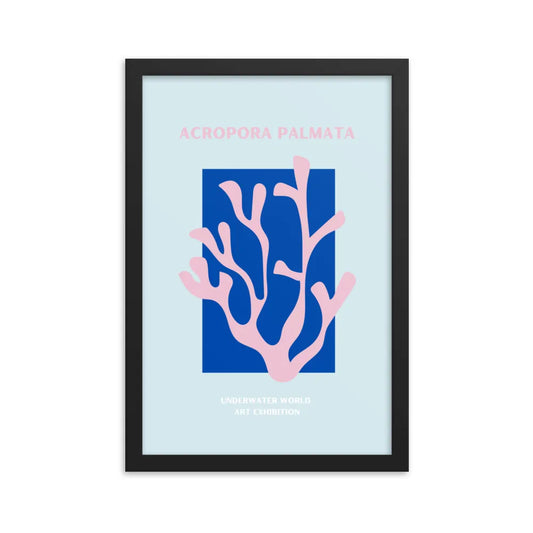 poster coral acropora palmata