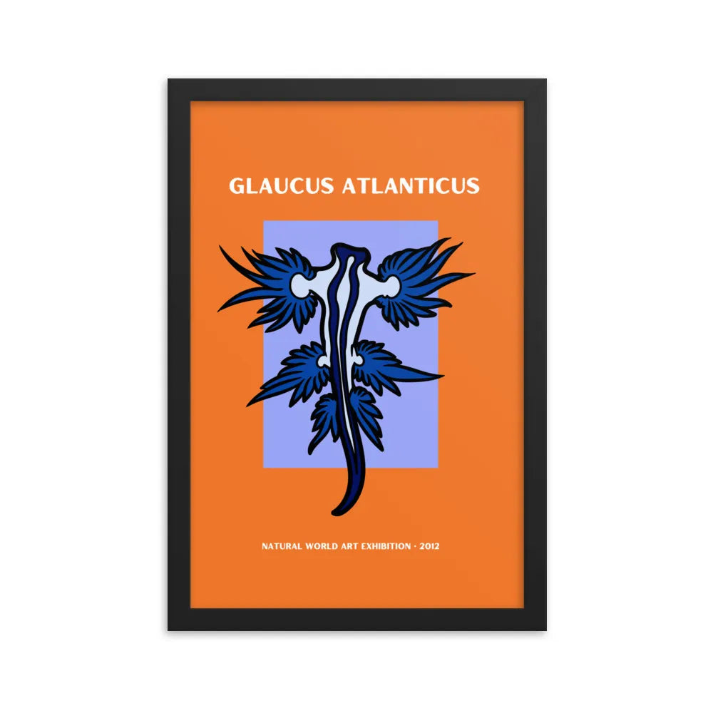 poster nudibranquio glaucus Atlanticus