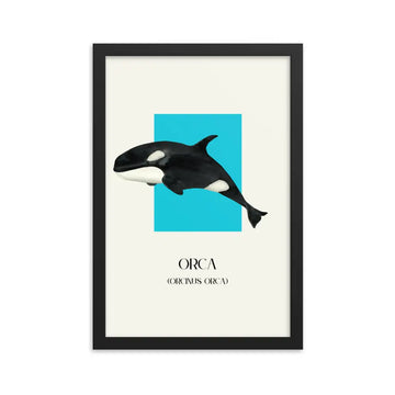 lámina decorativa orca