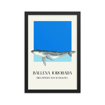 poster ballena jorobada