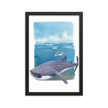 poster tiburón ballena