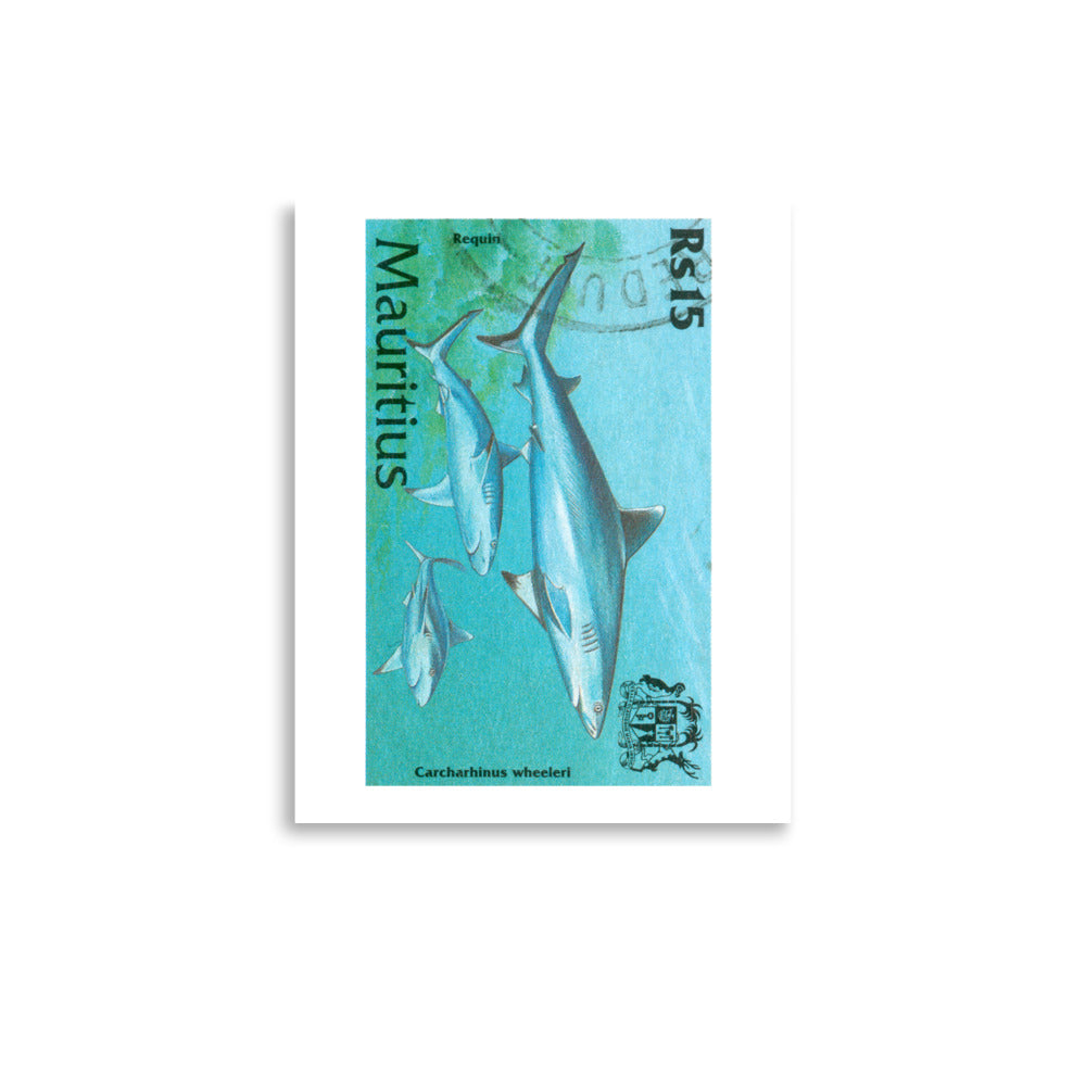 lámina sello tiburón Carcharhinus Wheeleri Mauricio