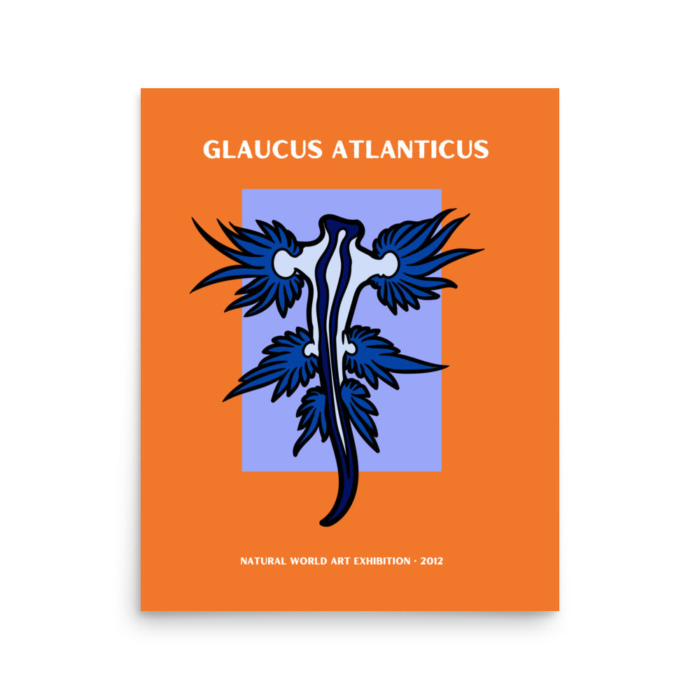 poster nudibranquio glaucus Atlanticus