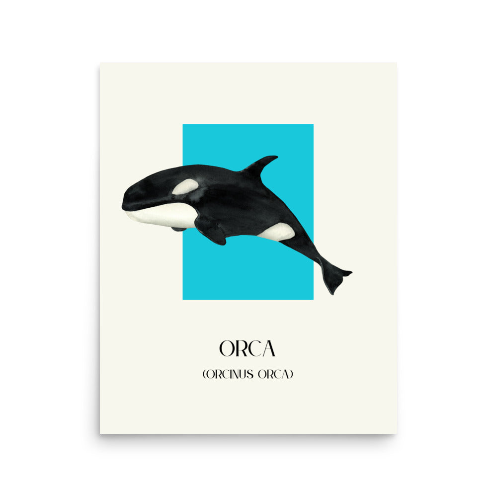poster orca