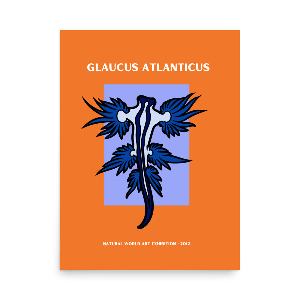 poster nudibranquio glaucus Atlanticus