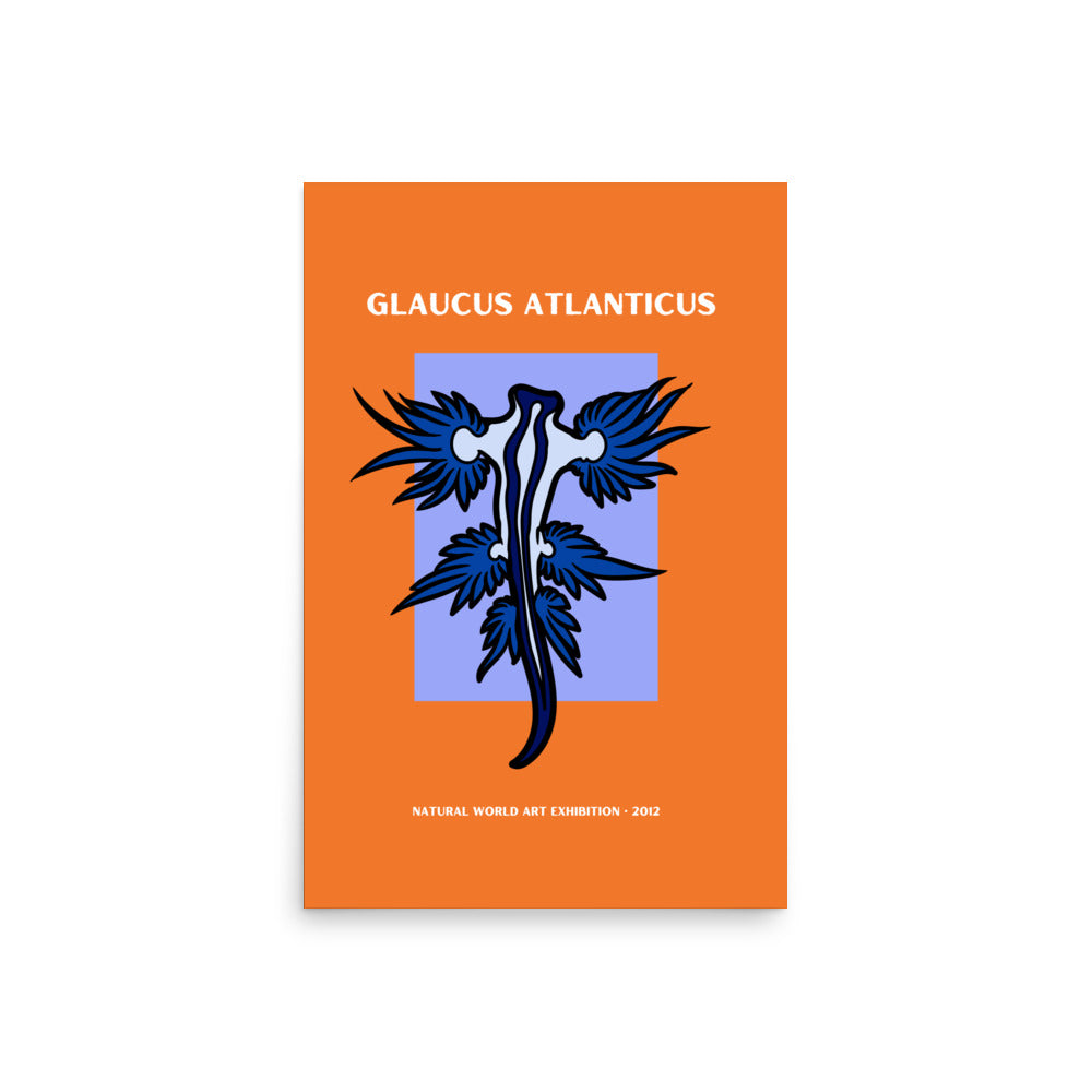 poster nudibranquio glaucus Atlanticus