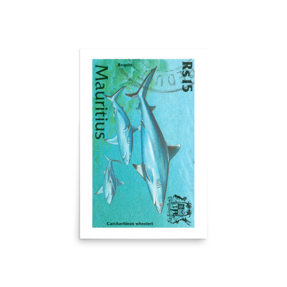 lámina sello tiburón Carcharhinus Wheeleri Mauricio