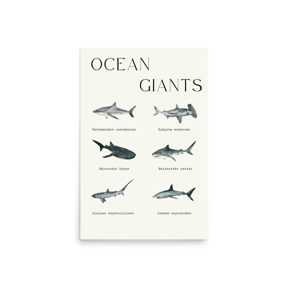 poster tiburones ocean giants