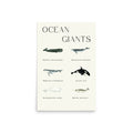 lámina ballenas ocean giants