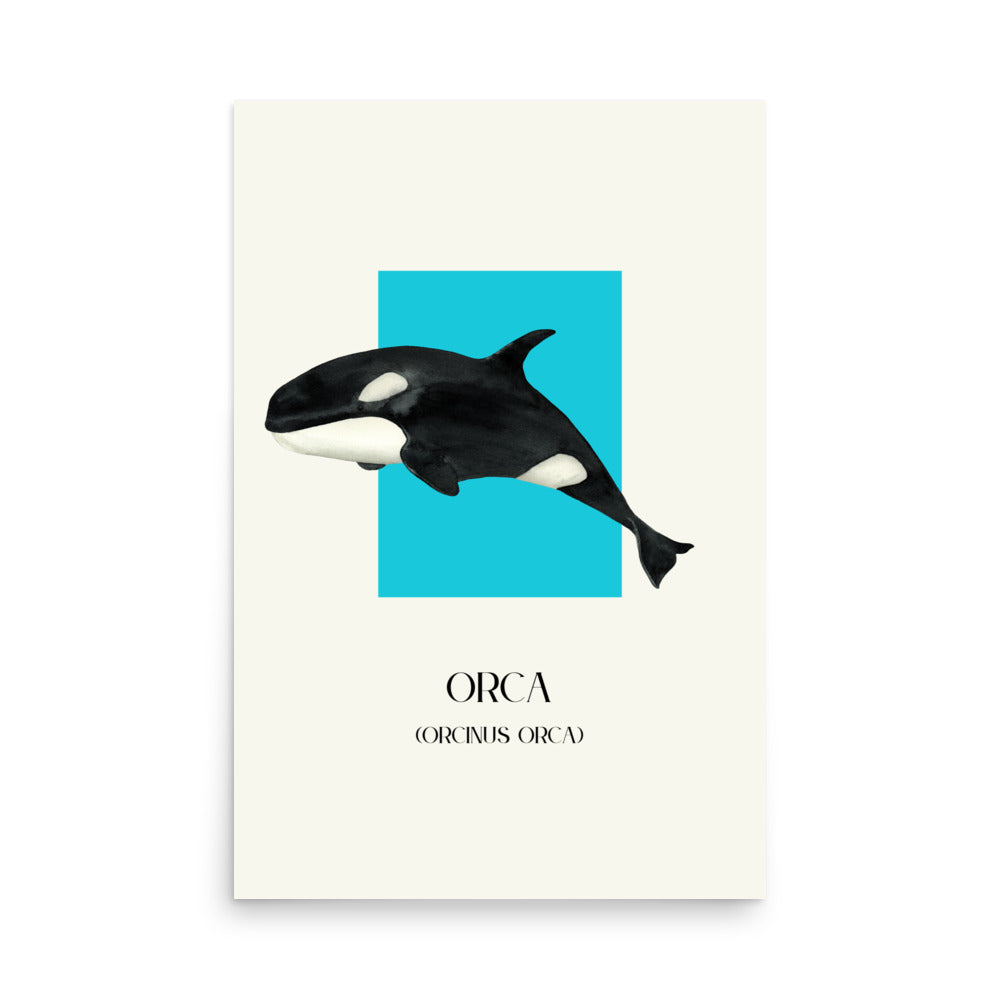 poster orca