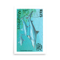 poster sello tiburón Carcharhinus Wheeleri Mauricio