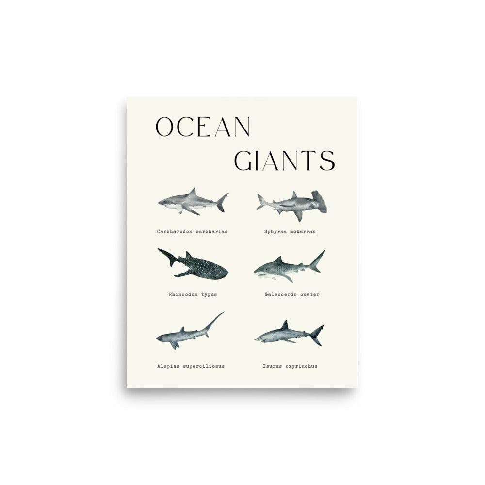 poster tiburones ocean giants