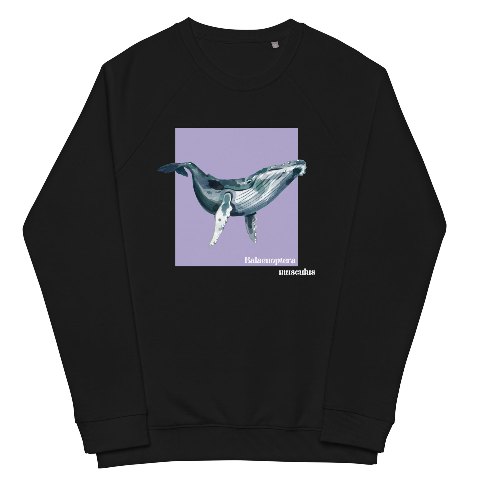 Organic Humpback Whale Sweatshirt