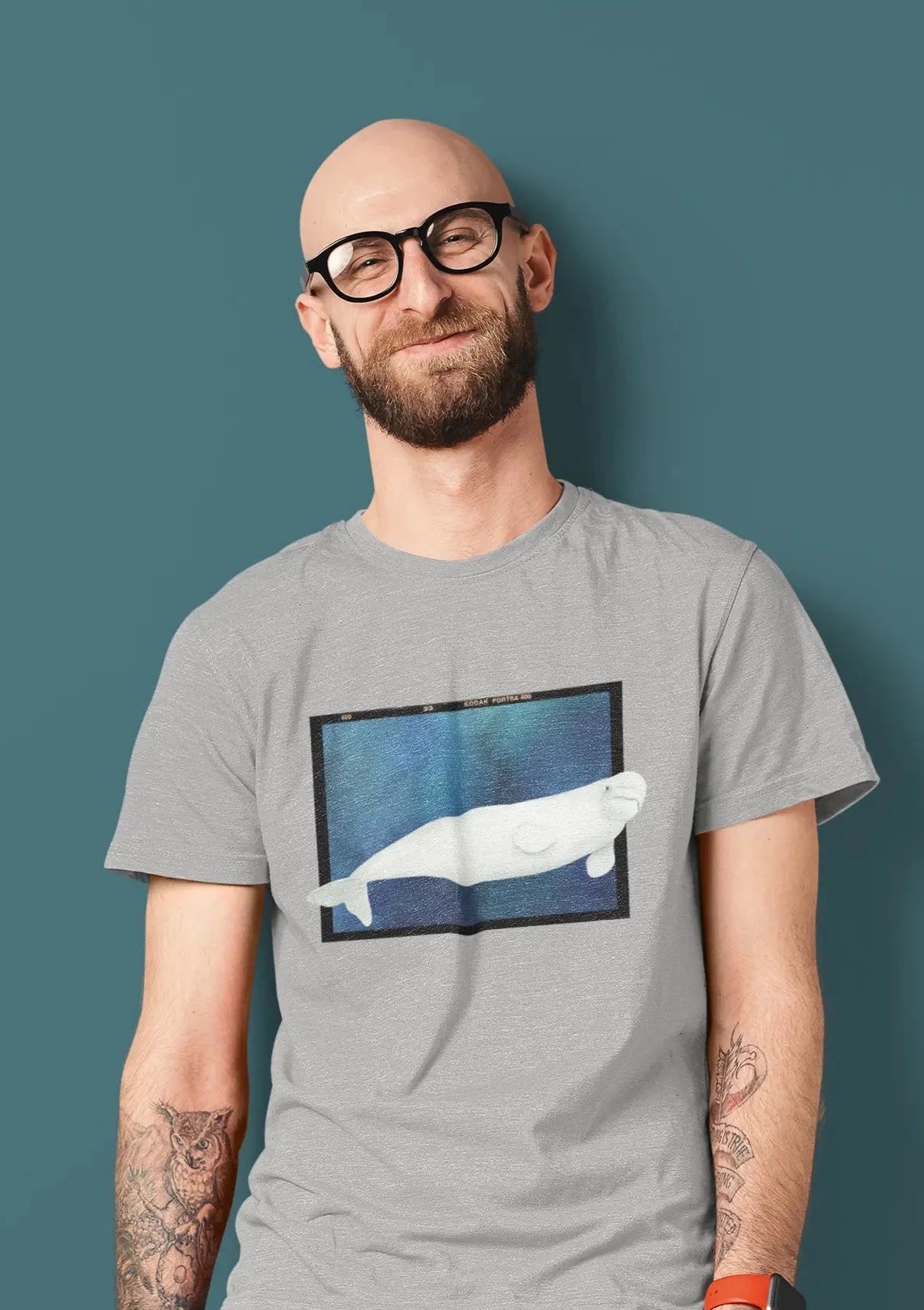 t-shirt beluga for man