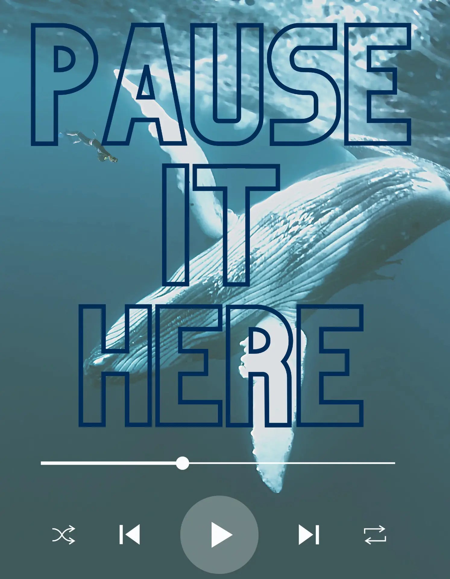 blue whale pause it here t-shirt man