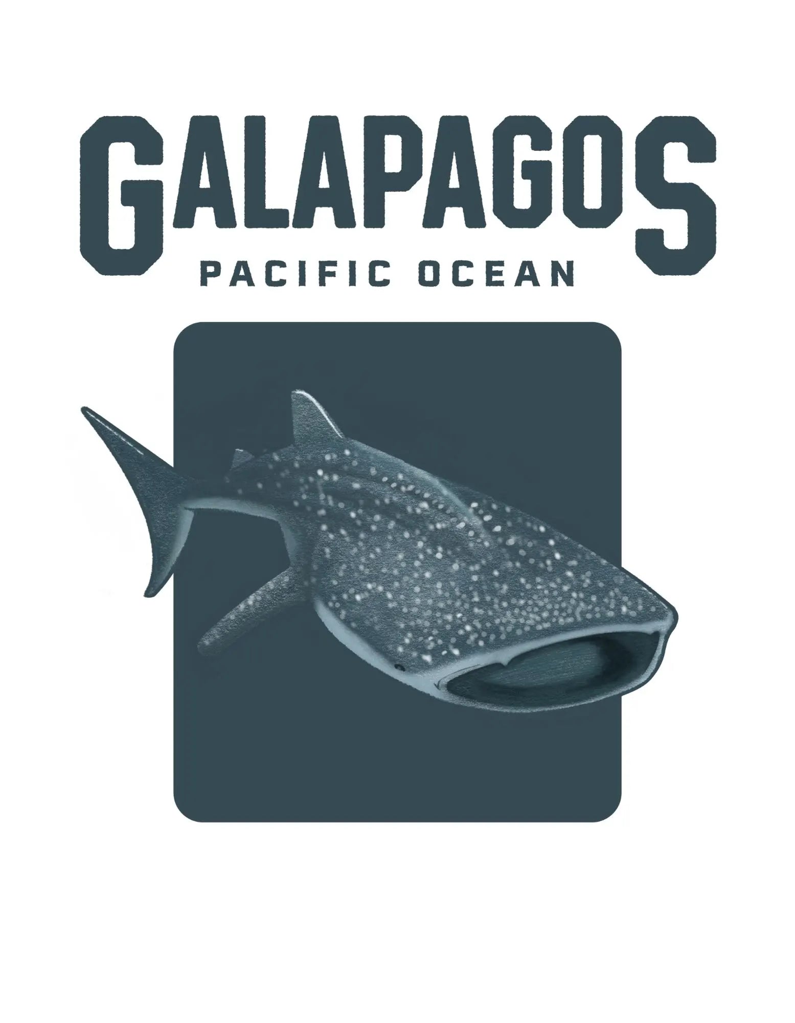 galapagos whale shark hoodie