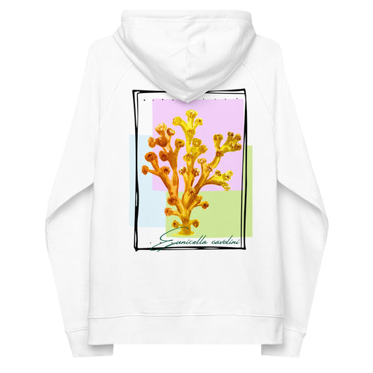 Sudadera con capucha eco unisex coral Eunicella cavolini