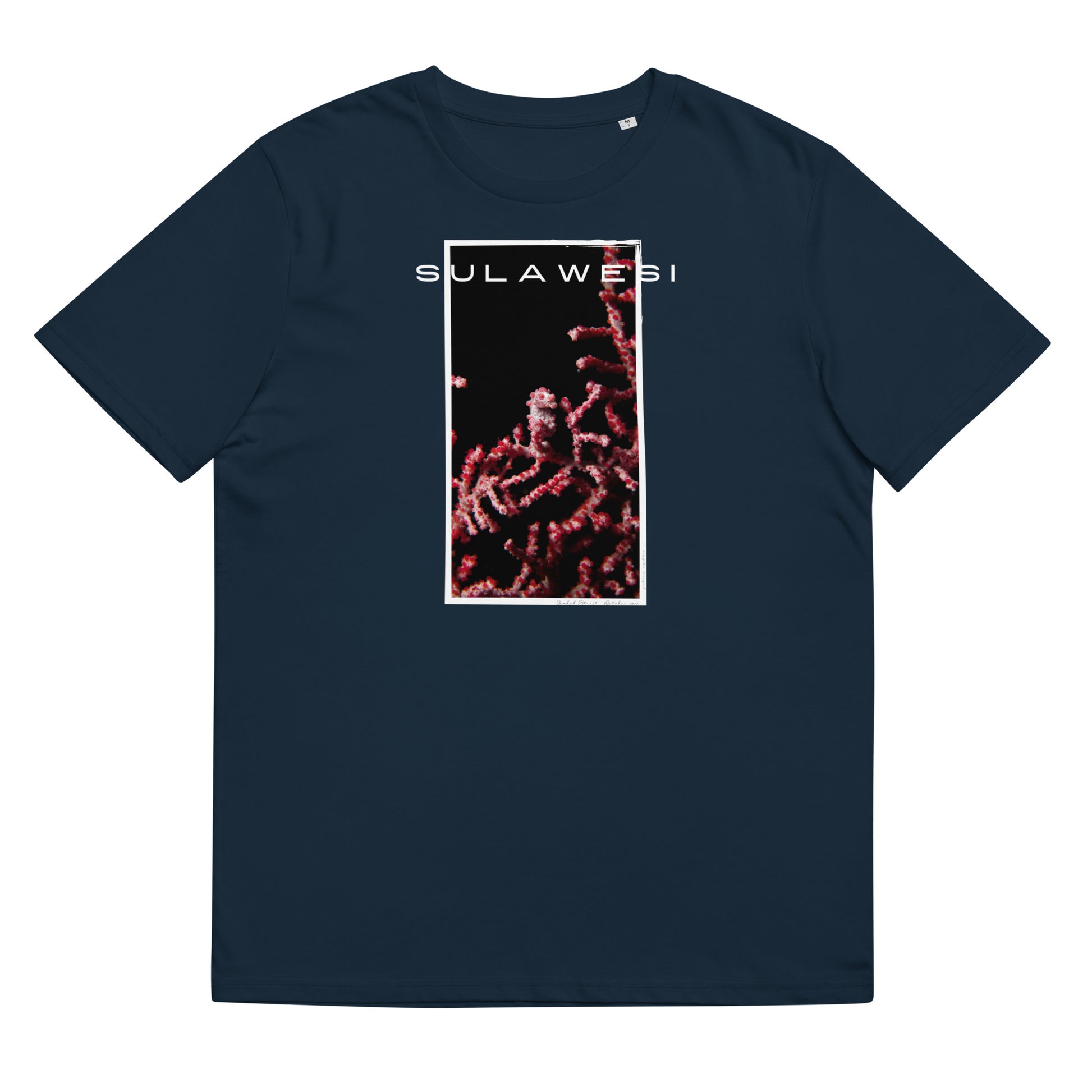 Camiseta Caballito de Mar Pigmeo