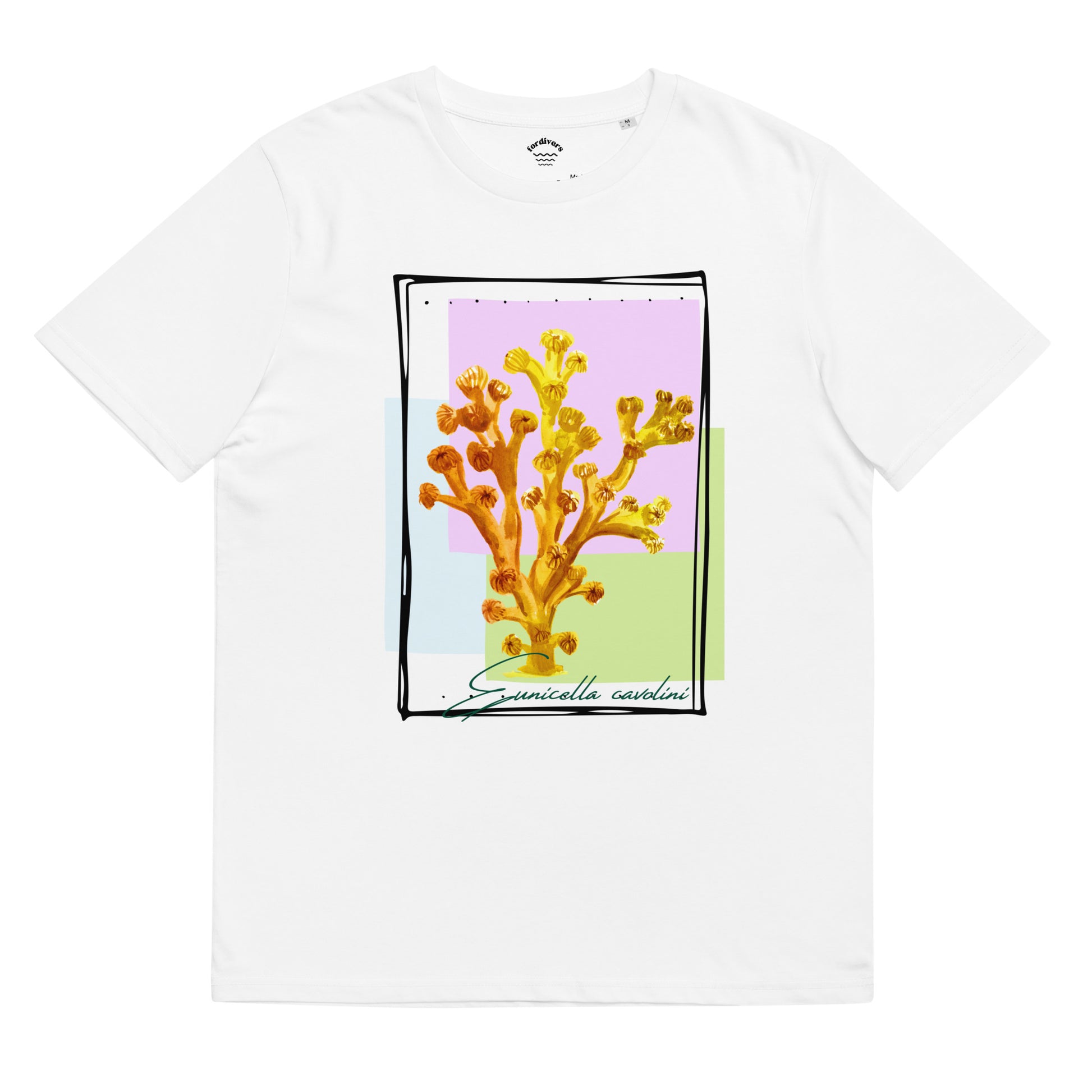 Camiseta blanca corales